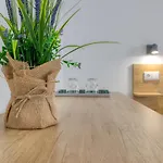 Farm stay Casa Da Lagoa E Forja - Turismo Rural