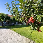 Casa Da Lagoa E Forja - Turismo Rural