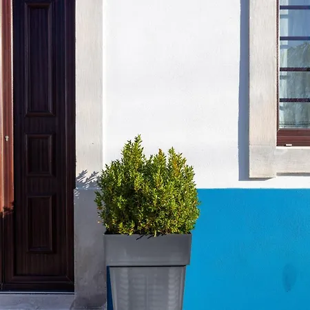 Casa Da Lagoa E Forja - * Mira (Coimbra)