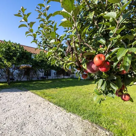 Casa Da Lagoa E Forja - Turismo Rural
